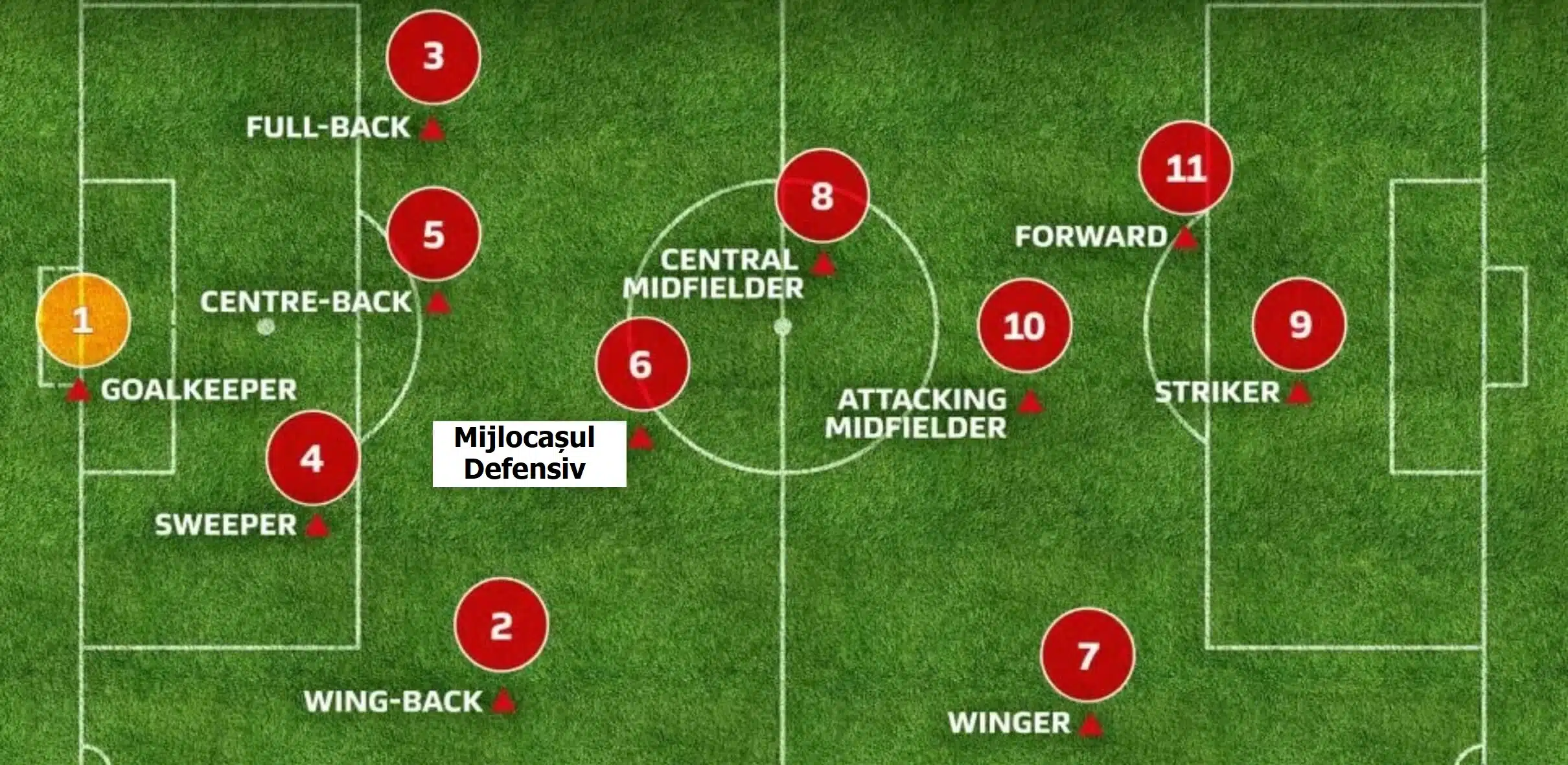 Mijlocașul defensiv